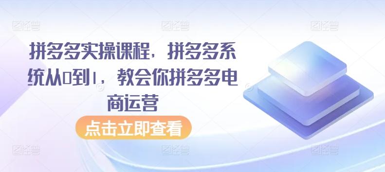拼多多实操课程，拼多多系统从0到1，教会你拼多多电商运营-极速轻创