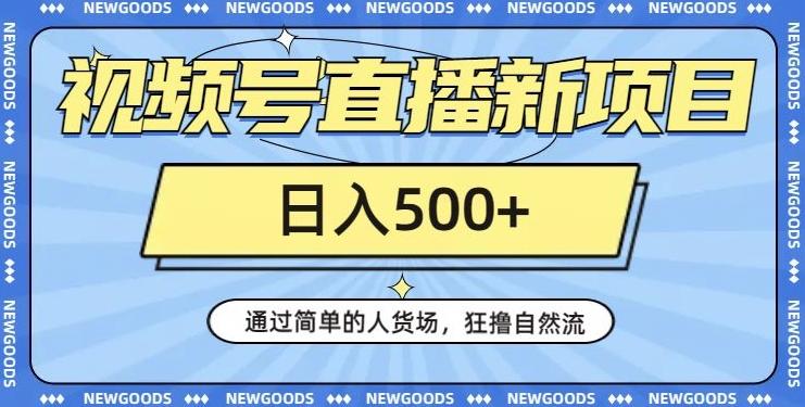 视频号直播新项目，通过简单的人货场，狂撸自然流，日入500+【260G资料】-极速轻创