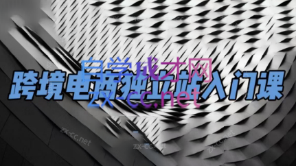 团长·跨境电商独立站入门课(2小时精华)-极速轻创