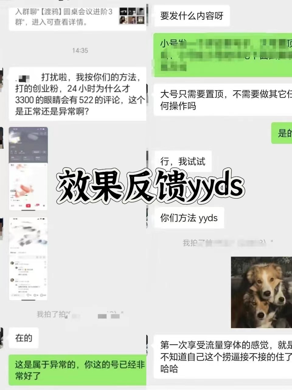 图片[3]-抖音小红书视频号全平台引流打法，全自动引流日引2000+精准客户-极速轻创