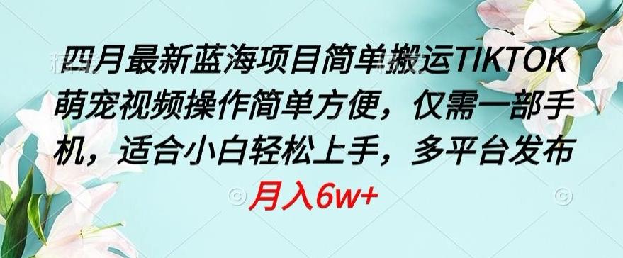 四月最新蓝海项目，简单搬运TIKTOK萌宠视频，操作简单方便，仅需一部手机【揭秘】-极速轻创