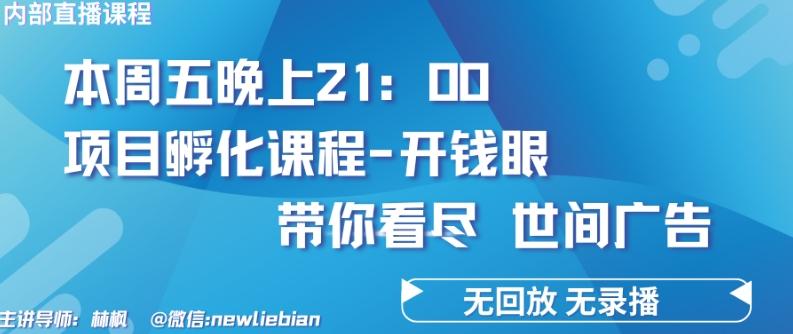 4.26日内部回放课程《项目孵化-开钱眼》赚钱的底层逻辑【揭秘】-极速轻创