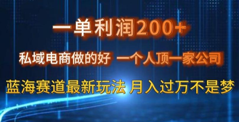 一单利润200私域电商做的好，一个人顶一家公司蓝海赛道最新玩法【揭秘】-极速轻创