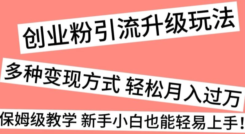 创业粉引流升级玩法，多种变现方式轻松月入过万，保姆级教学新手小白也能轻易上手！-极速轻创