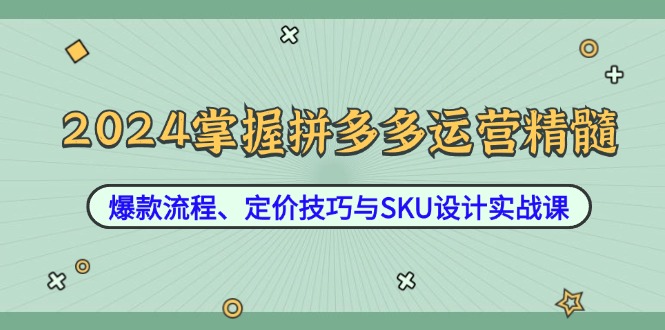 2024掌握拼多多运营精髓：爆款流程、定价技巧与SKU设计实战课-极速轻创