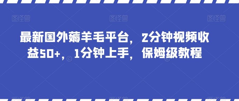 最新国外薅羊毛平台，2分钟视频收益50+，1分钟上手，保姆级教程【揭秘】-极速轻创