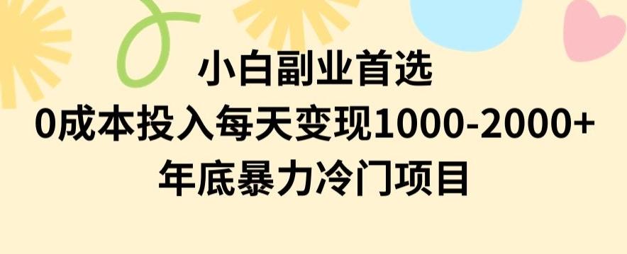 小白副业首选，0成本投入，每天变现1000-2000年底暴力冷门项目【揭秘】-极速轻创