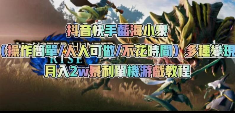 抖音快手蓝海小众（操作简单人人可做不花时间）多种变现月入2w＋暴利单机游戏教程-极速轻创