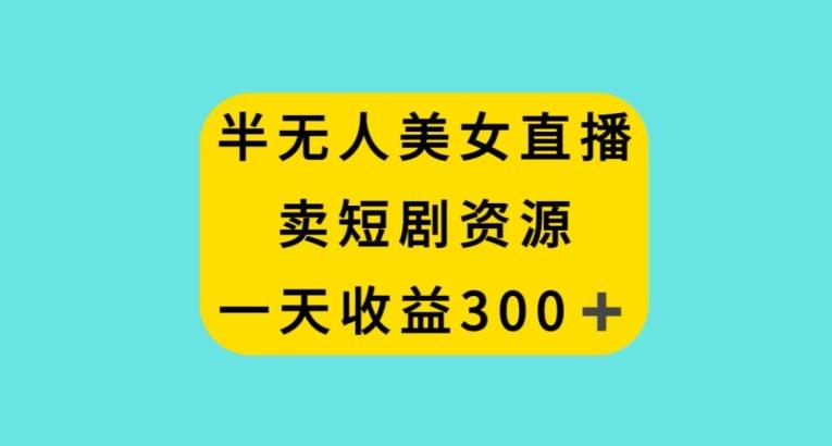 半无人美女直播，卖短剧资源，一天收益300+【揭秘】-极速轻创