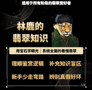 林鹿的翡翠知识，​用宝石眼光，系统全面的看懂翡翠-极速轻创