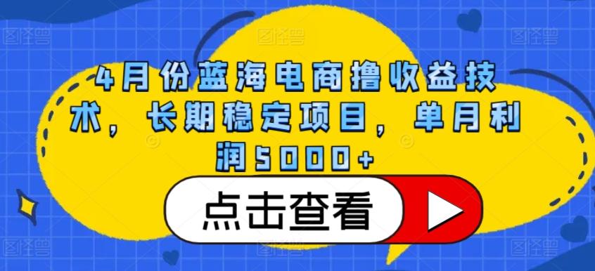 4月份蓝海电商撸收益技术，长期稳定项目，单月利润5000+【揭秘】-极速轻创