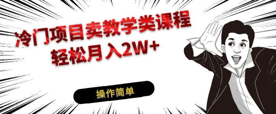 冷门项目卖教学类课程，轻松月入2W+-极速轻创