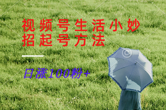 视频号生活小妙招分享赛道， 起号涨粉新方法，日涨100粉-极速轻创