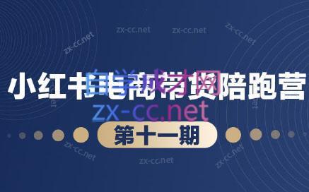 盗坤·小红书电商带货陪跑营(第十一期)-极速轻创