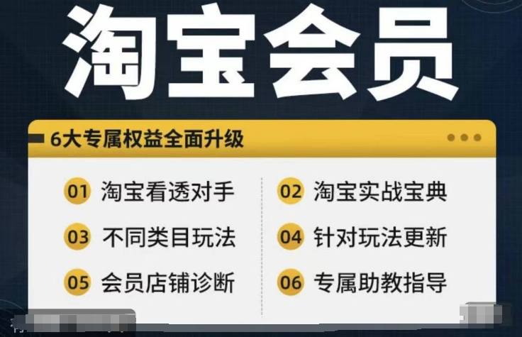 淘宝会员【淘宝所有课程，全面分析对手】，初级到高手全系实战宝典-极速轻创