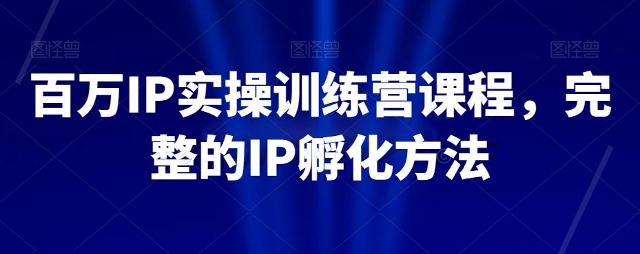 百万IP实操训练营课程，完整的IP孵化方法-极速轻创