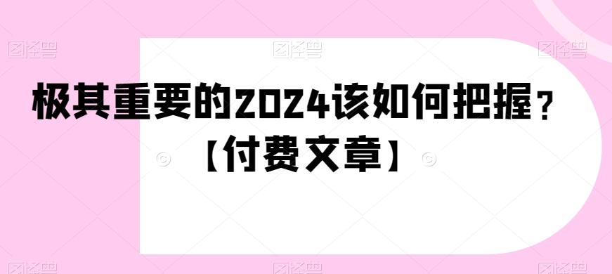 极其重要的2024该如何把握？【付费文章】-极速轻创