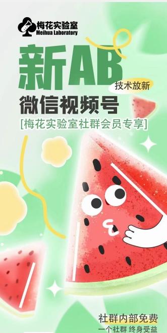 梅花实验室2024年AB技术视频号AB合成破解版-极速轻创