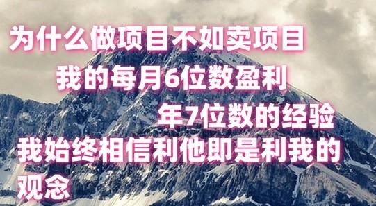 做项目不如卖项目，每月6位数盈利，年7位数经验-极速轻创