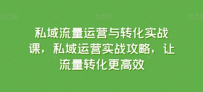 私域流量运营与转化实战课，私域运营实战攻略，让流量转化更高效-极速轻创