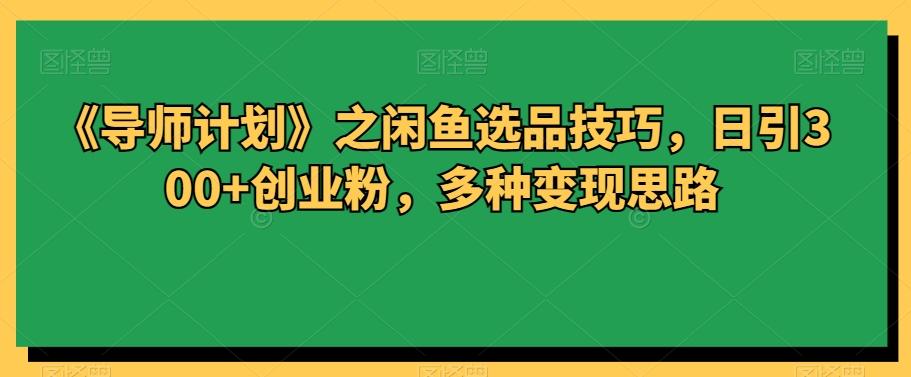 《导师计划》之闲鱼选品技巧，日引300+创业粉，多种变现思路-极速轻创