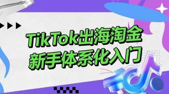 TikTok出海淘金，新手体系化入门，零基础快速入门，掌握短视频、直播带货等引流到变现的知识-极速轻创