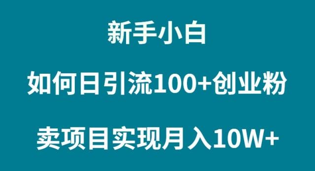 (9556期)新手小白如何通过卖项目实现月入10W+-极速轻创