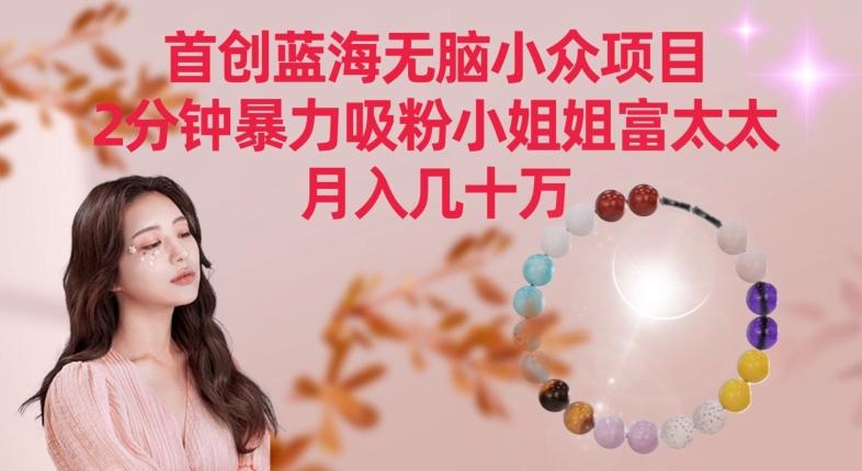 首创蓝海无脑小众项目，2分钟暴力吸粉小姐姐富太太，月入几十万【揭秘】-极速轻创