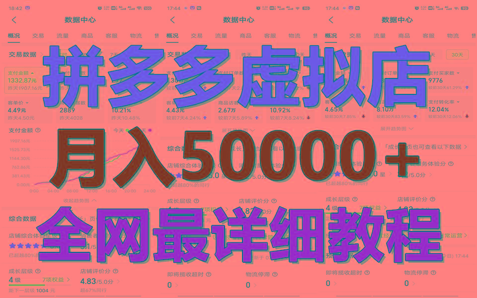 拼多多虚拟电商训练营月入50000+你也行，暴利稳定长久，副业首选-极速轻创