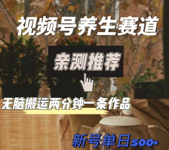 视频号养生赛道暴力掘金，无脑搬运，两分钟一条作品-新日单入500+-极速轻创