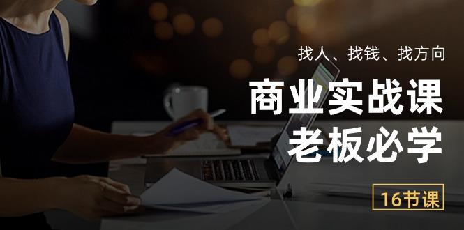 商业实战课【老板必学】：找人、找钱、找方向(16节课-极速轻创