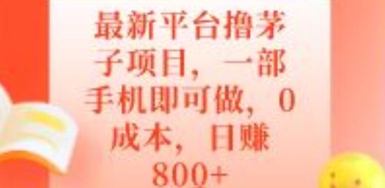 最新平台撸茅子项目，一部手机即可做，0成本，日赚800+-极速轻创