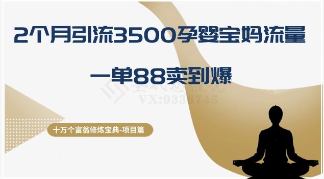 十万个富翁修炼宝典之13.2个月引流3500孕婴宝妈流量，一单88卖到爆-极速轻创