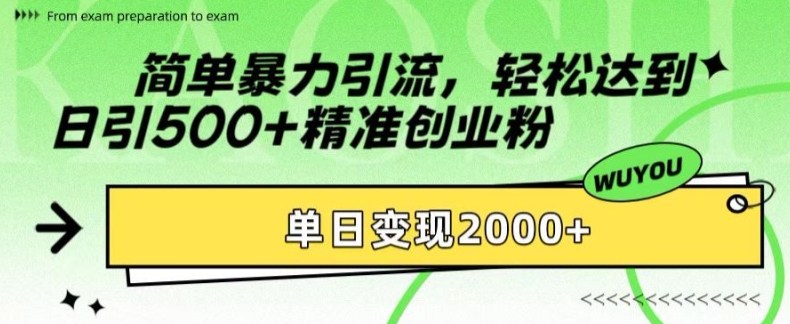 简单暴力引流，轻松达到日引500+精准创业粉，单日变现2k【揭秘】-极速轻创