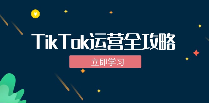 TikTok实战运营全攻略：从下载软件到变现，抖音海外版实操教程-极速轻创