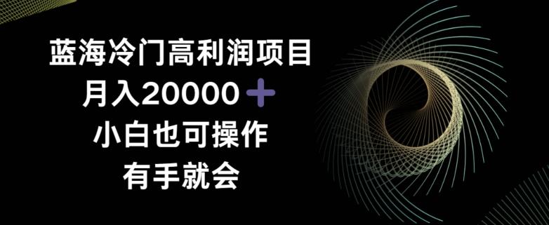 蓝海冷门高利润项目月入2000，小白也可操作有手就会-极速轻创
